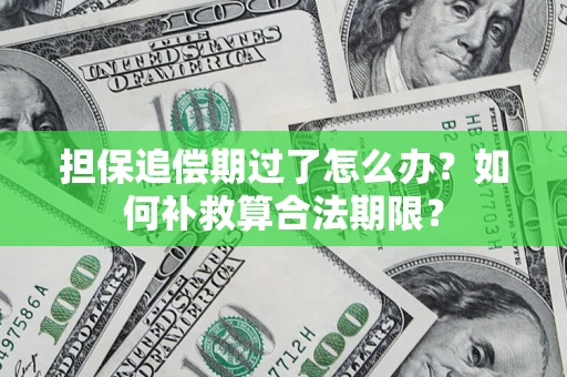 济南担保追偿期过了怎么办？如何补救算合法期限？